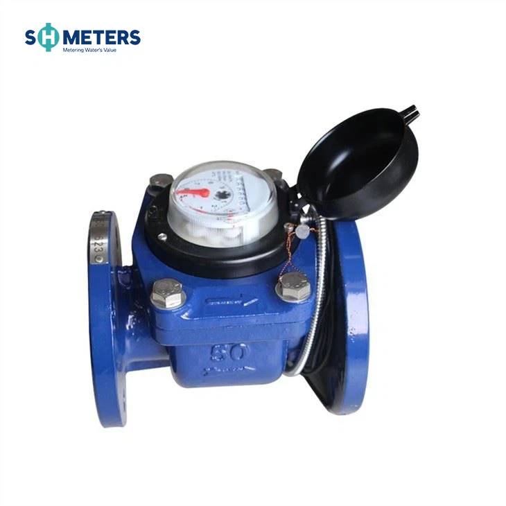 Large Caliber Removable Industrial Woltman Flange Water Meter